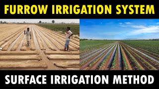 Furrow Irrigation System  Surface Irrigation System  Agriculture Irrigation Method [upl. by Elimac485]