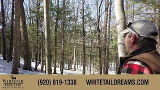 Waupaca county 120 acre whitetail dreams property [upl. by Leola]