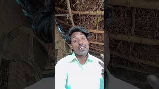 Man ke liye do Shabd short video trending [upl. by Desta]