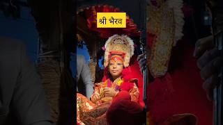 The Living God  Bhairav indrajatra festival jatra viralvideo 2082 million nepal newari [upl. by Zorina979]