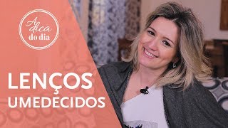 LENÇOS UMEDECIDOS CASEIROS  A DICA DO DIA COM FLÁVIA FERRARI [upl. by Minda]