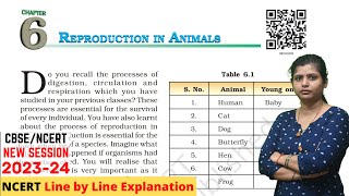 Reproduction in Animals  Class 8 Science Chapter 6 Full Chapter [upl. by Tessler589]