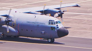 C130H HERCULES STARTUP TAXI and TAKEOFF At Madeira Airport [upl. by Elnora]