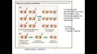 1ère spé immunité adaptative 1  introduction [upl. by Berthoud]