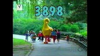 Sesame Street  Episode 3898 2000 Big Bird forms a rock band called the Alphatones [upl. by Mellitz805]