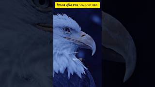 🦅 Eagle intelligence will surprise you 😱 wise eagle shorts intelligent eagles [upl. by Almeida]