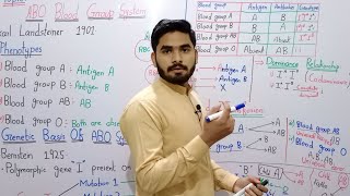 ABO Blood Group System Class 12 In Urdu Hindi By MrHadi  Chapter No 22  Genetics And Variations [upl. by Clerissa604]