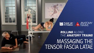 Massage for the Tensor Fascia Latae  Hip Pain Relief [upl. by Ogeid]