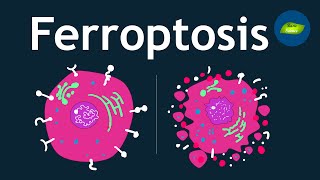 Ferroptosis A Hidden Cell Death Pathway I Basic Science Series [upl. by Joela]