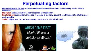 4PF model of mental health risk factors  VCE Psychology [upl. by Hutner]