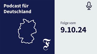 „Shoppen wie ein Milliardär“ Die fragwürdigen Methoden von Temu  FAZ Podcast für Deutschland [upl. by Lucius]