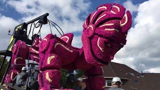 Bloemencorso Lichtenvoorde zo 10 sept 2017  compleet 1 uur [upl. by Warms483]