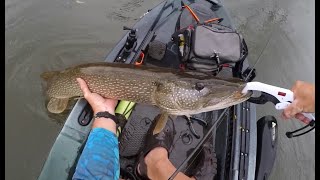 Topwater Northern Pike Fishing in a Kayak insane blow ups [upl. by Oznecniv466]