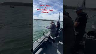 Last pass final seconds takedown Chinook Salmon trolling Columbia River rod folds chinook on pnw [upl. by Pavyer530]