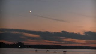 Alkonyi holdsarló Waxing crescent moon at dusk time lapse Fonyód 06102024 [upl. by Notseh680]