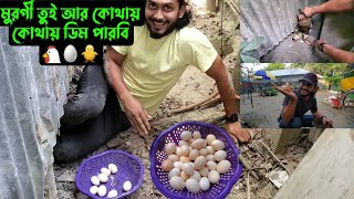 মুরগী তুই আরকোথায় কোথায় ডিম পারবি 🥚🐥 [upl. by Maleki377]