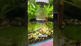 Electric Gravel Cleaner For your Aquarium [upl. by Terris]