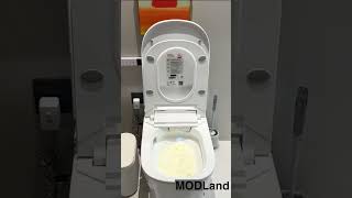 Modern Bidet Toilet you should have [upl. by Ashatan748]