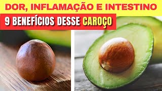 9 Benefícios do CAROÇO DE ABACATE Dor Inflamação Intestino e mais  Receitas e Como Usar [upl. by Noreik]