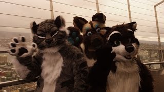 Anthro Northwest 2017 Promo Video [upl. by Fiona]