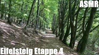 Eifelsteig Etappe 4  Natur pur  Fernwanderweg in der Eifel  longdistance hiking trail  ASMR [upl. by Bernadine]