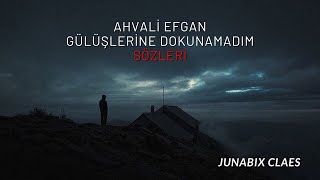 Ahvali Efgan  Gülüşlerine Dokunamadım  Sözleri [upl. by Bithia960]