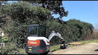 Mini excavator with mulcher vs 20 hedge [upl. by Libby]