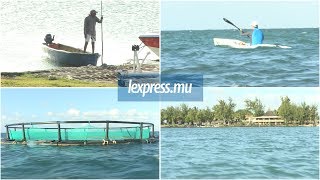 Les cages d’aquaculture attirent les requins selon les habitants [upl. by Alsi]