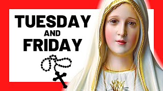 THE SORROWFUL MYSTERIES TODAY HOLY ROSARY TUESDAY amp FRIDAY  THE HOLY ROSARY TUESDAY amp FRIDAY [upl. by Diraf558]