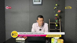 Mengatasi Gondongan dan Cikunguga dengan Herbal Tazakka [upl. by Petuu]