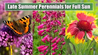 9 Gorgeous Late Summer Perennials for a Sunny Garden Spot  July August September Blooms [upl. by Krute]