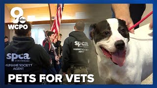 SPCA Cincinnati program helps connect veterans with furever friends [upl. by Ttenaj166]