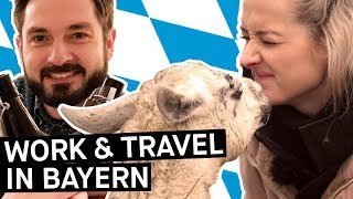 Work amp Travel in Deutschland – Wer macht sowas eigentlich  PULS Reportage [upl. by Kimber]