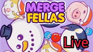 MERGE FELLAS ao vivo LIVE RELÂMPAGO 🌩️ MERGEFELLAS LIVESHORTS [upl. by Telrahc]