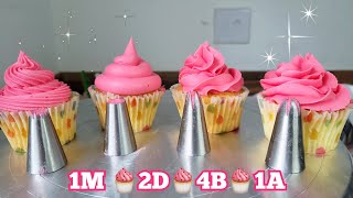 How to Use 4 Icing Nozzle Tips 1M 2D 4B 1A  Easy Cake Decorating [upl. by Letta]