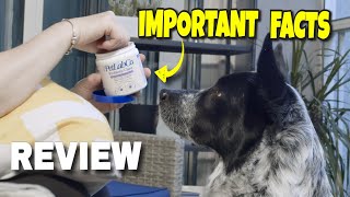 PetLab Co Probiotics for Dogs Review [upl. by Ha]