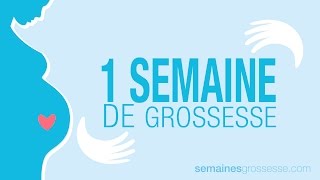 1 semaine de grossesse  Semaine 1 de grossesse  La grossesse semaine par semaine [upl. by Fidelity]