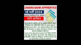 Canara bank Apprentice recruitment online application registrationBank apprentice post vacancy 2024 [upl. by Daughtry456]