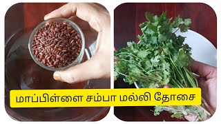 மாப்பிள்ளை சம்பா மல்லி தோசை செய்வது எப்படி mapillai samba recipe how to make mapillai samba dosai [upl. by Edge]