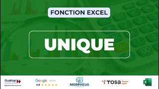 Comment utiliser la fonction UNIQUE sur Excel [upl. by Hannon705]