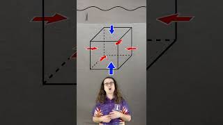 Buoyant Force Explained Why Objects Float [upl. by Waverly]