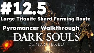 Dark Souls Remastered  Large Titanite Shard amp Green Titanite Shard Farming Route [upl. by Jarret26]