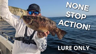 Wrasse and Bass Fishing in Portland amp Weymouth [upl. by Klotz809]