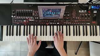 Dolce Vita  Ryan Paris cover Keyboard Arranger Korg [upl. by Undis]