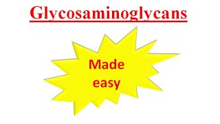 Glycosaminoglycans Heteropolysaccharides [upl. by Hermine]