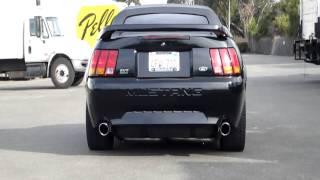 99 Mustang Cobra Exhaustwmv [upl. by Ahtoelc966]