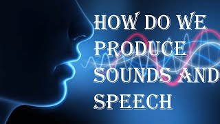 how do we produce voice and speech sounds  Phonetics  BA functional English  Calicut university [upl. by Obellia207]