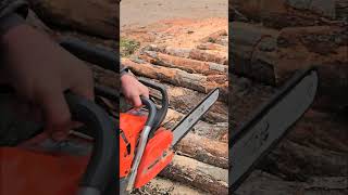 Бензопила Oleomac GS650 из Италии wood chainsaw [upl. by Hanna]