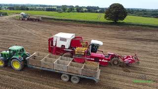 Spillanes Gibbstown Farm digging spuds and sowing winter crops [upl. by Dorie]