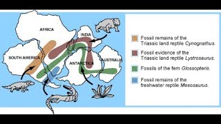 Biogeography [upl. by Ludlew]